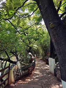 Kunming - Parc Cuihu - 38